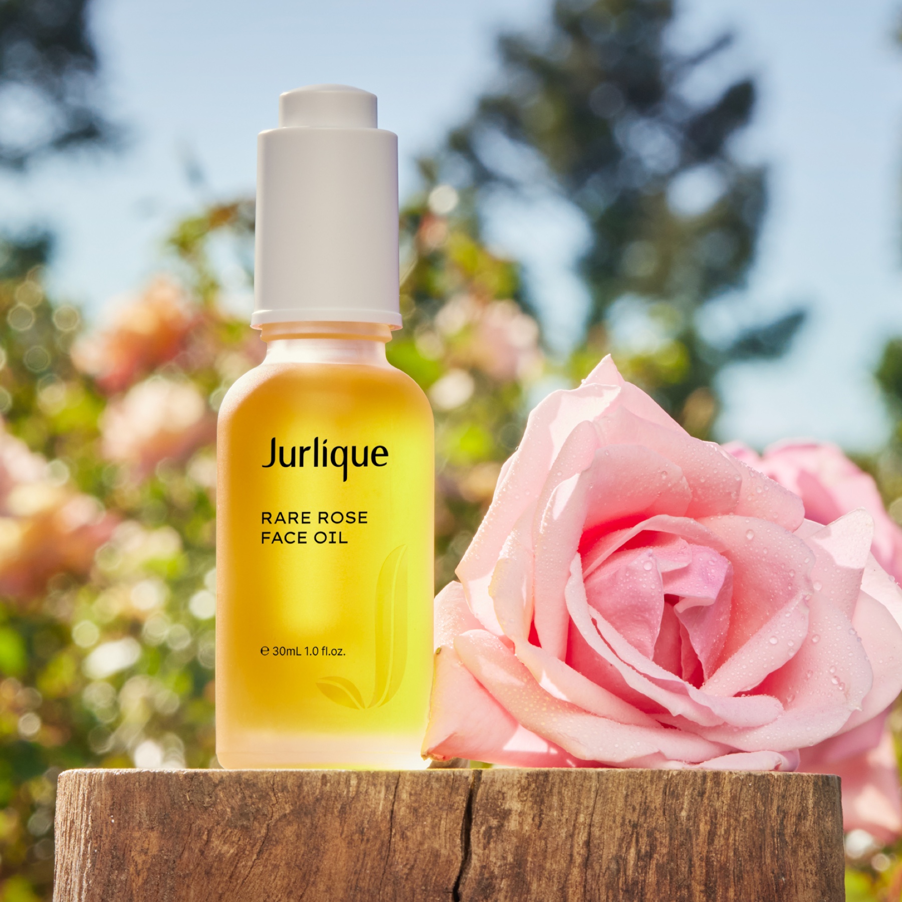 珍稀玫瑰保濕精華油